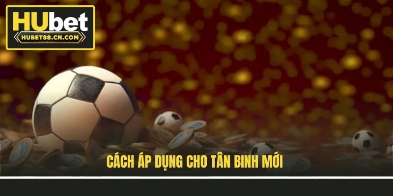 Cách áp dụng cho tân binh mới Cách áp dụng cho tân binh mới